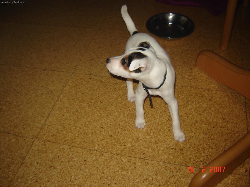 Foto: Agnes