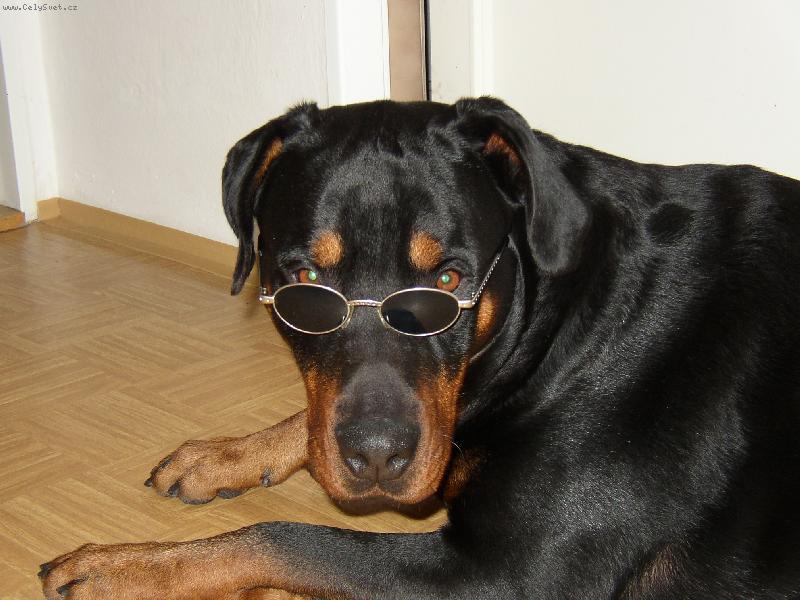 Foto: Bene�ek