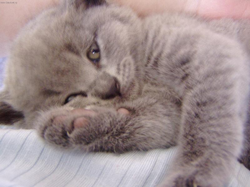 Foto: milacky-nas klasavec