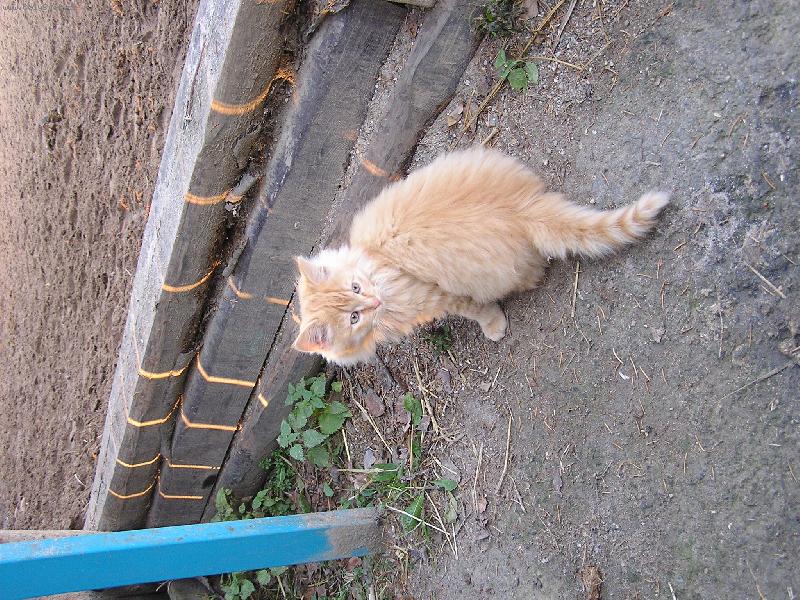Foto: Enulka