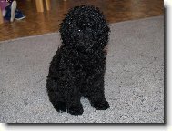 pozor vylet� pt��ek...!!!